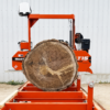 Gater profesional cu pânză panglică Wood-Mizer pentru debitarea buștenilor